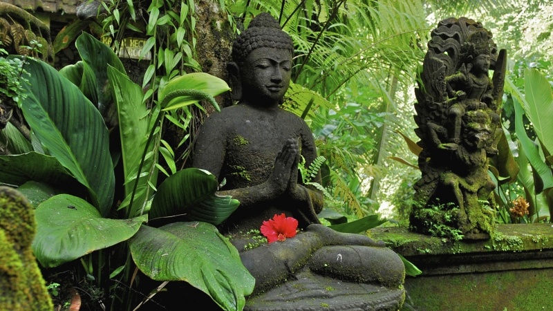 Fond d'écran HD Buddha Ubud pierre noire forêt jungle Indonésie télécharger photo gratuit