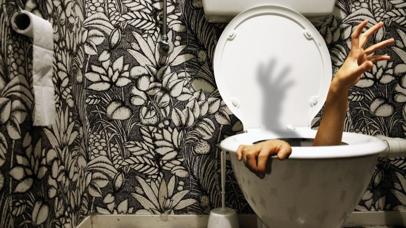 Fond d'écran HD problèmes aux toilettes personne est aspirée par les WC télécharger wallpaper gratuit
