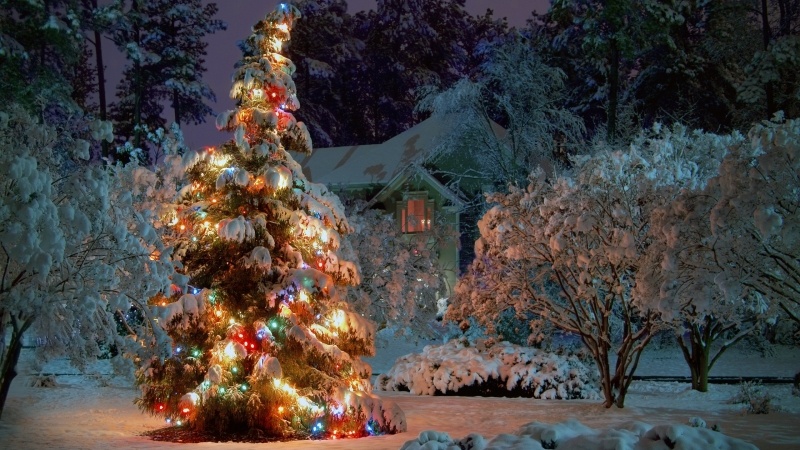 sapin de Noël décoration sous neige fond écran:: Fond Ecran HD