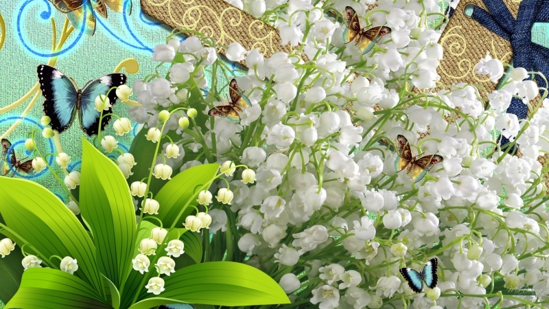 muguet fleur du printemps papillon fête du 1er mai 