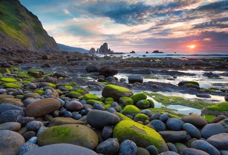 fond écran paysage HD nature plage galets et rochers avec algues wallpaper photo