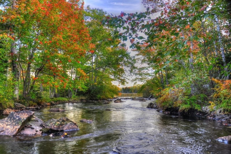 fond ecran hd paysage rivière forêt automne feuille rouge wallpaper background picture image autumn
