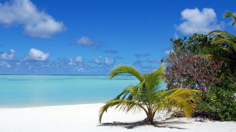 fond écran HD paysage nature plage blanche mer bleu et charia îles Maldives wallpaper desktop image picture free Windows