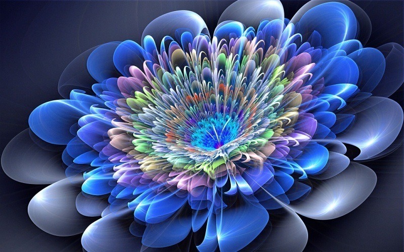 fond écran HD image fleur synthèse 3D wallapper image picture flower desktop Windows bureau