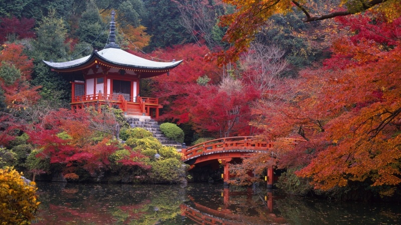 paysage nature jardin japonais pont érable rouge rivière fond écran HD image wallpaper picture pc tablette smartphone