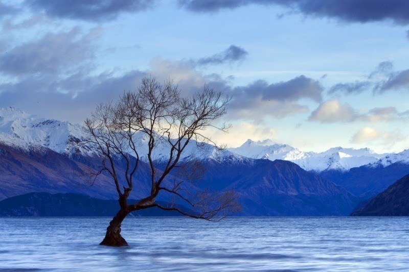 image arbre au milieu d'un lac hiver ciel couleur bleu wallpaper fond écran bureau