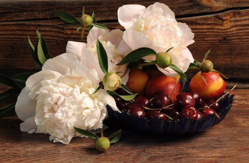 photo art pivoines blanches fleur fruit cerises pommes dans coupe larisa-k