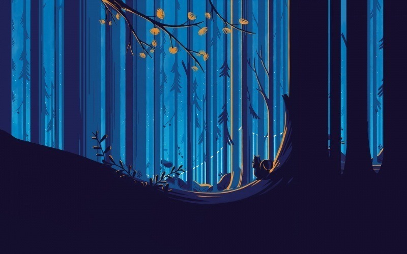 fond écran image illustration ciel bleu écureuil forêt Tom Haugomat