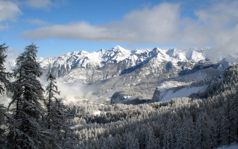 Fond d'écran hiver en montagne cimes et forêts enneigées photo wallpaper