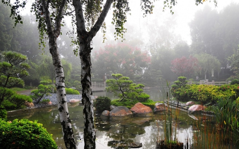 photo paysage jardin japonais dans la brume télécharger gratuit wallpaper PC smartphone tablette