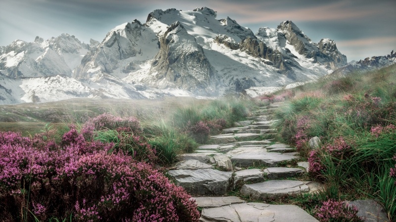 Fond écran HD montagne neige chemin de randonnée fleur dans la brume picture photo wallpaper image