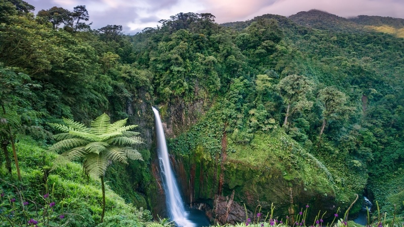 Fond d'écran HD chute d'eau cascades d'El Toro Costa Rica jungle forêt tropicale picture image wallpaper