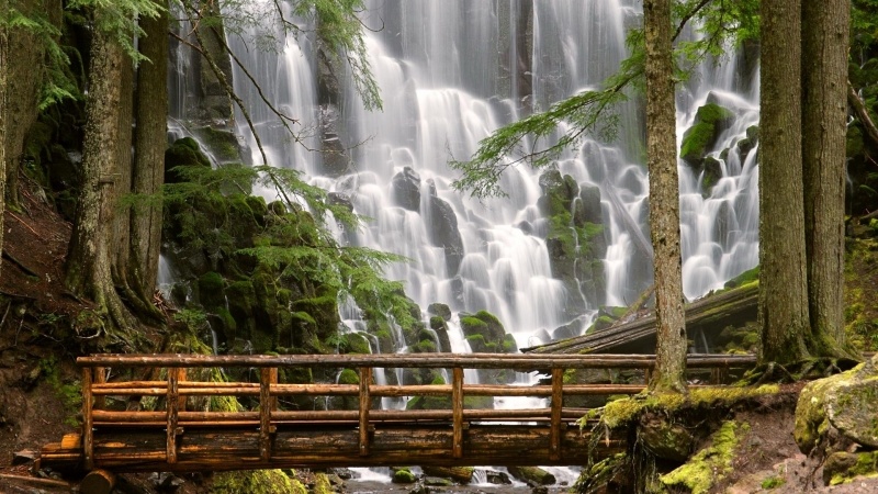 Fond écran HD cascade dans forêt et pont de bois image picture wallpaper
