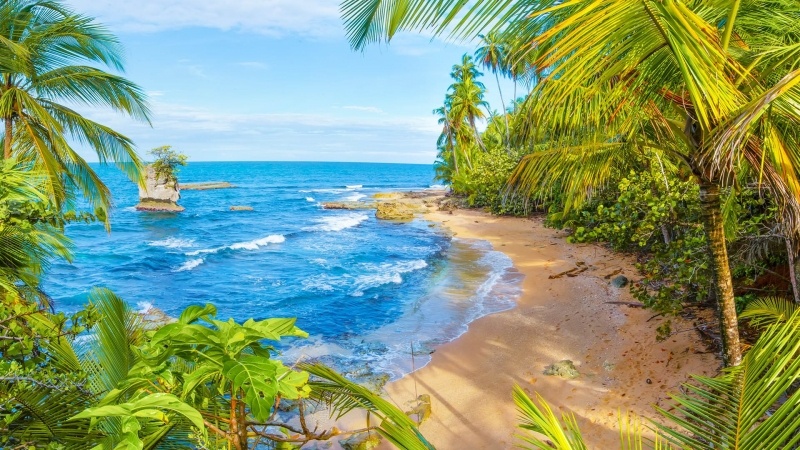 Fond ecran HD plage sauvage Costa Rica avec cocotier sable et rocher image picture