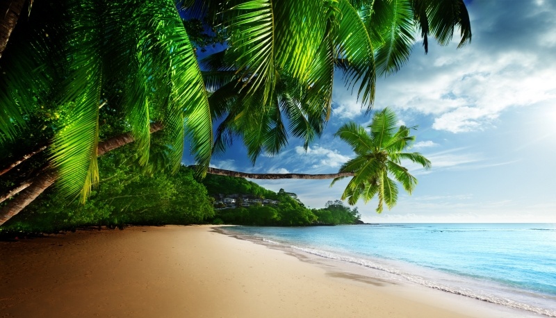 Fond écran UHD 4K plage de rêve sous les tropiques voyage avec cocotiers wallpaper télécharger