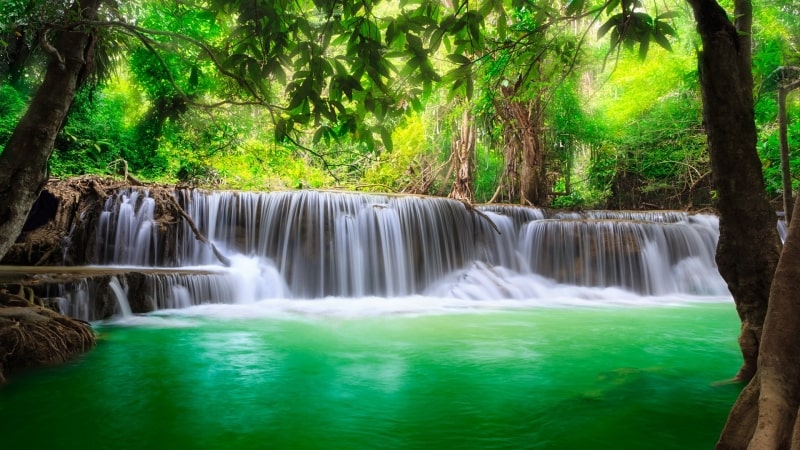 Fond écran HD paysage nature jungle cascade vert photo image PC Windows Apple Mac wallpaper