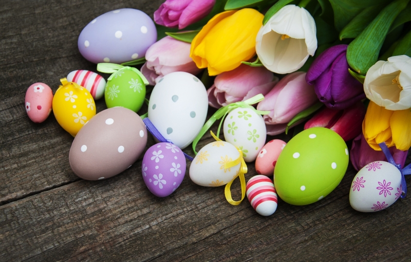 Fond écran HD 4K fête de Pâques Easter eggs oeufs décorées et fleurs tulipes multicolores