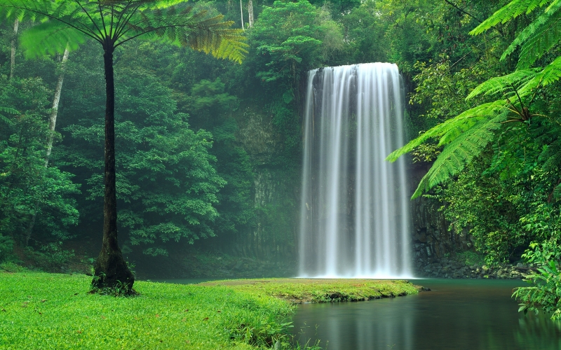 Fond écran HD 4K cascade dans forêt tropicale background