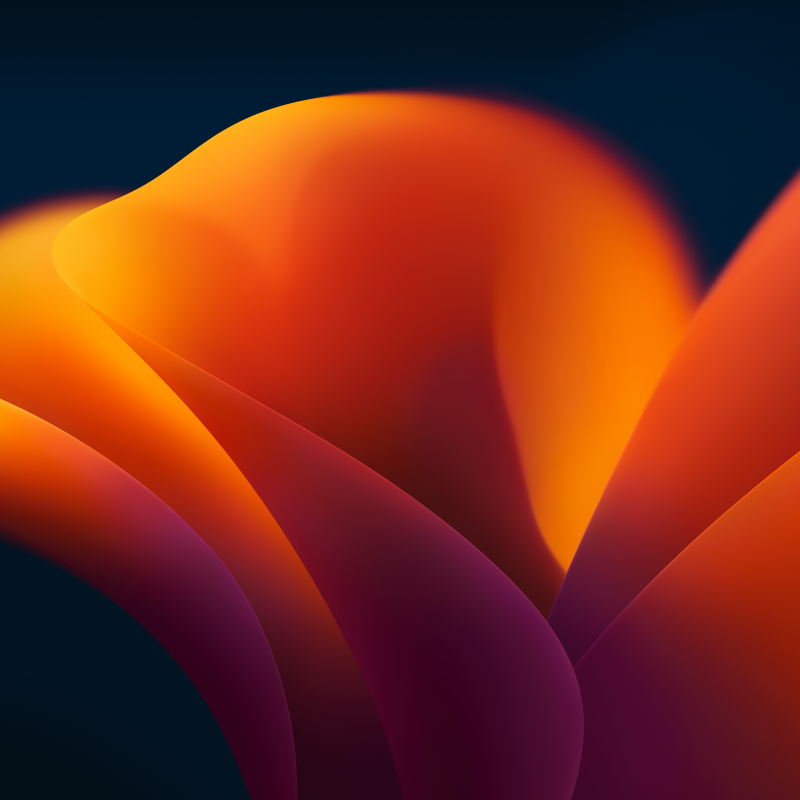 Fond d'écran HD haute résolution télécharger gratuit couleur orange wallpaper
