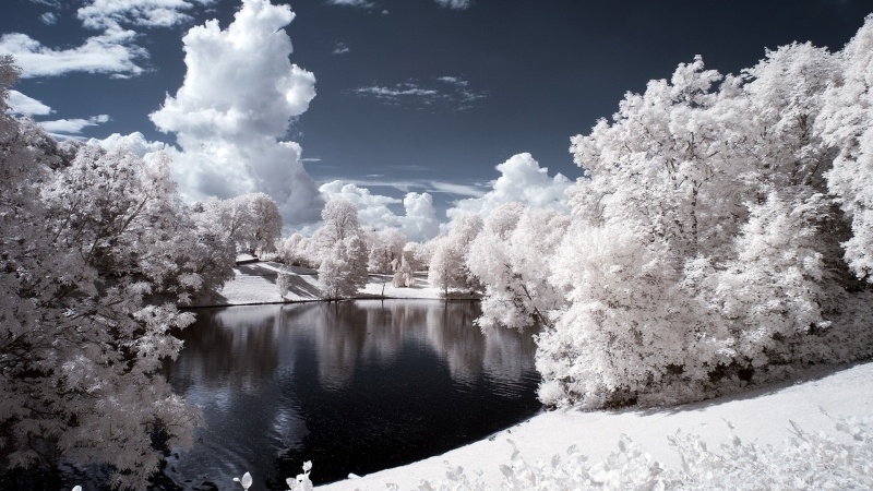 paysage blanc hiver sous neige et ciel bleu