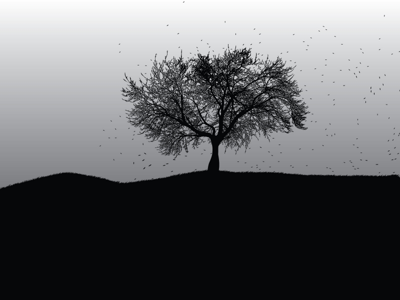 fond d'écran HD art noir et blanc arbre automne feuilles aux vents pour bureau desktop smartphone tablette