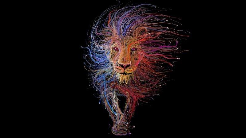 fond écran HD art connected usb lion image picture colored coloré wallpaper desktop PC smartphone tablet
