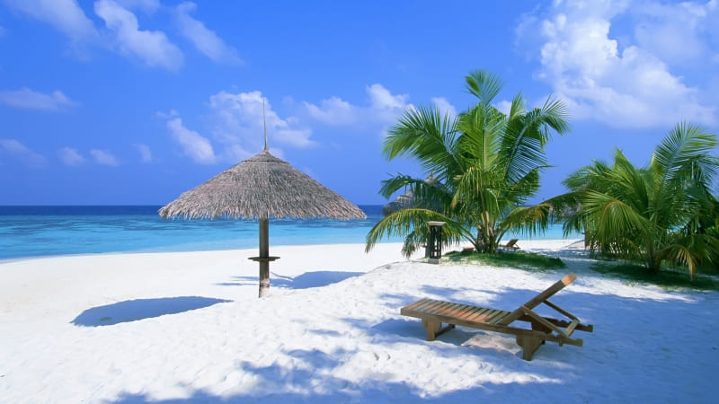 maldives beach paradise photo