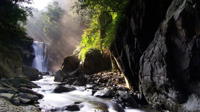 photo cascade et rivière dans une forêt