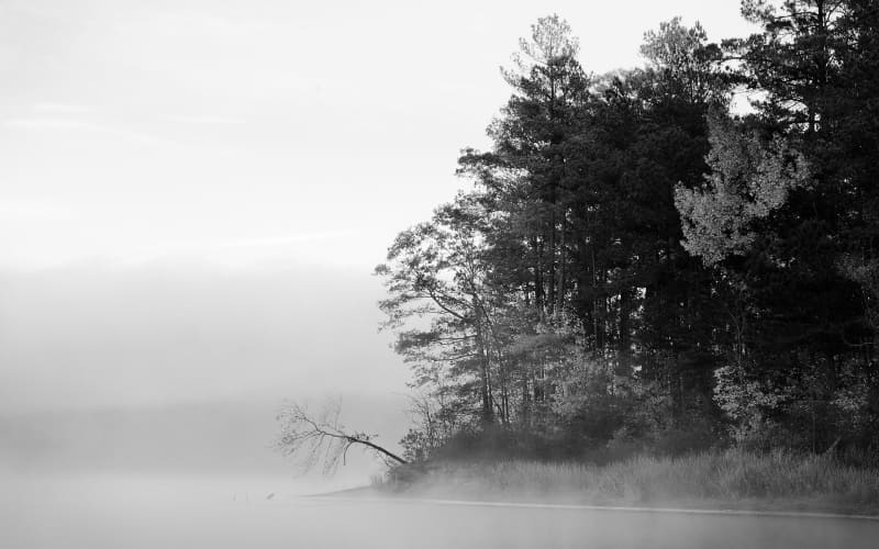fond d'écran noir et blanc campagne photo dans le brouillard wallpaper black and white