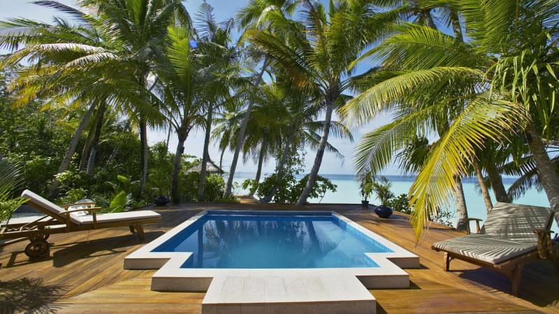 fond écran photo piscine cocotier palmier mer bleu wallpaper HD free swimming pool