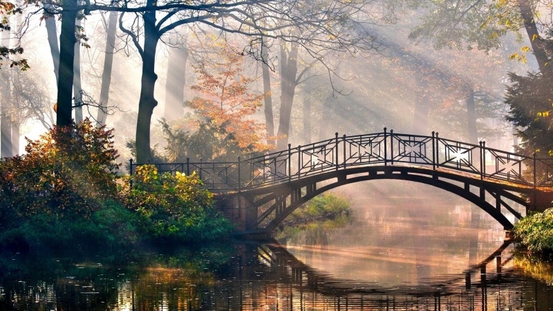 Fond d'écran HD pont dans un parc le matin lever de soleil photo picture wallpaper gratuit télécharger