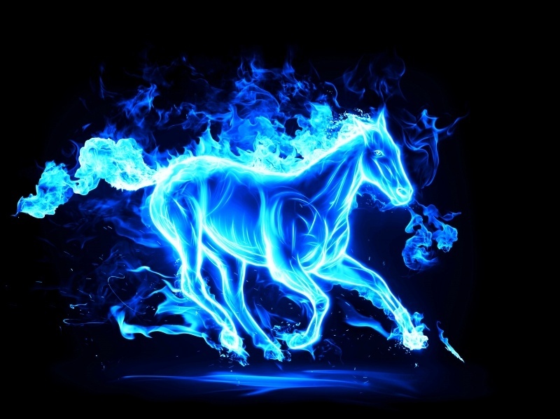 Fond ecran HD 3D graphique dessin art cheval en feu flamme bleu image picture horse in fire blue wallpaper