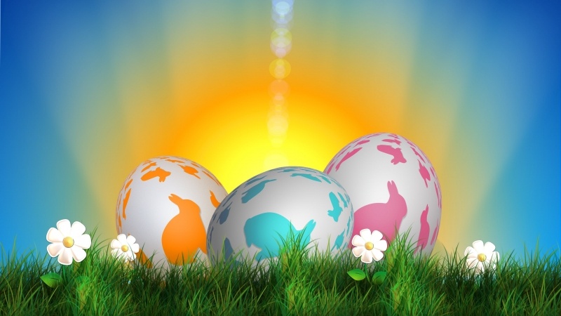 Fond ecran HD Pâques Easter image dessin picture oeufs avec lapin herbe au printemps wallpaper