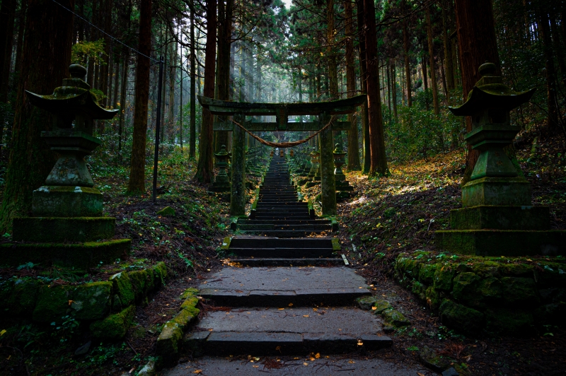 Fond écran HD 4K paysage et nature Torii et chemin en pierre dans la forêt vers temple shinto télécharger image photo asie