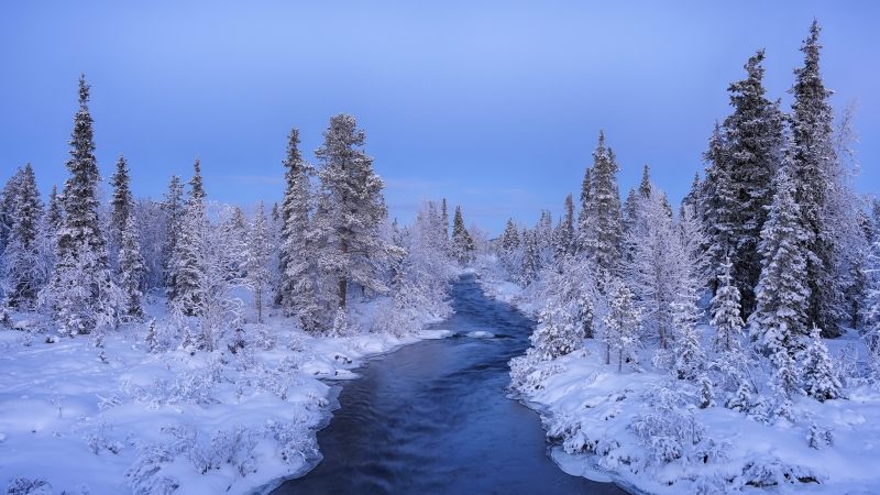 Fond d'écran HD hiver nature forêt rivière neige et glace wallpaper background arrière plan