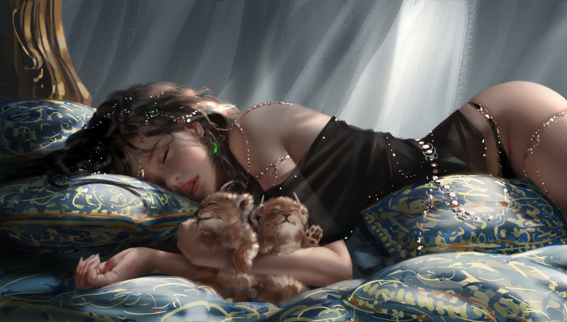 Fond d'écran HD anime manga dessin femme dormant avec lionceaux background wallpaper
