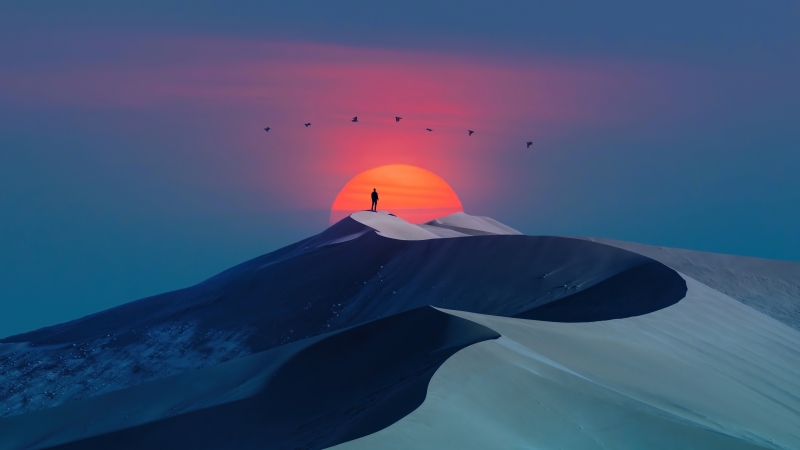 Fond écran HD image dessin art digital coucher de soleil sur dune du désert et oiseaux