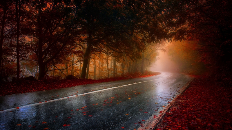 photo route pluvieuse d'automne autumn road wallpaper picture background